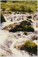 19910810-0053-Vacances Pyrenees au lac Oo