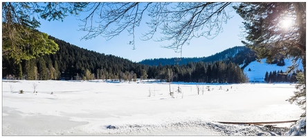 20211218-8863-Lispach La Bresse Pano