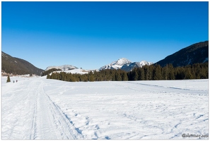 20220124-9648-Plateau des Glieres