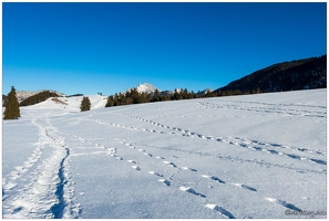 20220124-9661-Plateau des Glieres