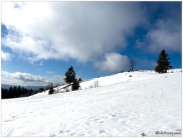 20220211-0058-La Bresse la piquante pierre