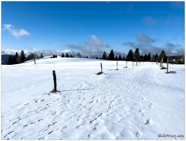 20220211-0066-La Bresse la piquante pierre