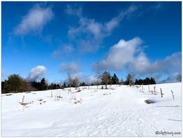 La piquante pierre hiver