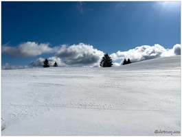 20220211-0074-La Bresse la piquante pierre