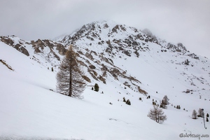 20220506-100 1677-Col de l'Izoard