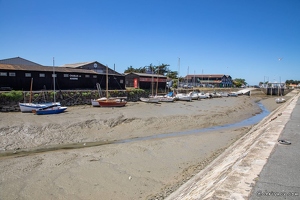 20220531-19 2678-Noirmoutier en l ile