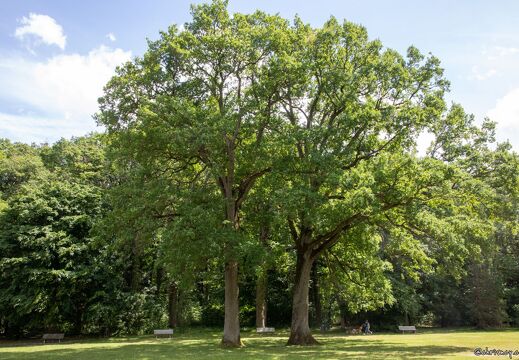 20220524-124 2323-Saint Jean de Braye Chateau de Charbonniere