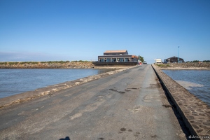 20220603-2768-Passage du Gois