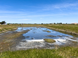 20220601-2194-Ecomusee le daviaud marais breton