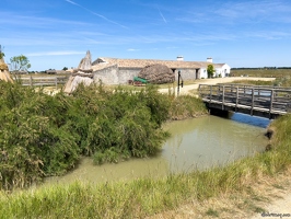 20220601-2200-Ecomusee le daviaud marais breton