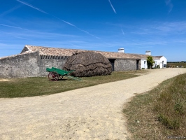 20220601-2201-Ecomusee le daviaud marais breton