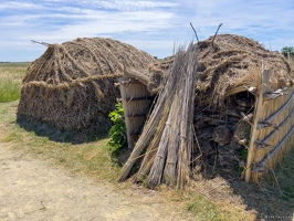 20220601-2216-Ecomusee le daviaud marais breton