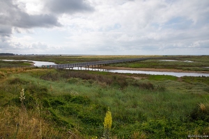 Vendée 85