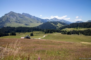 20220708-16 3103-La Clusaz Pointe de Beauregard Aravis col de la croix fry