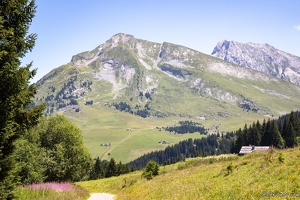 20220708-35 3144-La Clusaz Pointe de Beauregard Merdassier et l etale