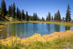 20220708-48 3160-Col de Merdassier Le Lac