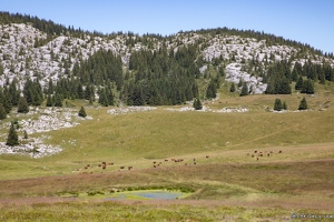 20220711-3346-Chemin col de Cenise Rochers de Leschaux