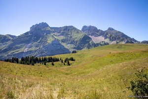 20220711-3349-Chemin col de Cenise