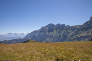 20220711-3348-Chemin col de Cenise