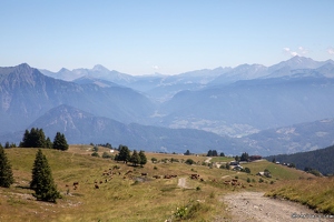 20220711-3350-Chemin col de Cenise