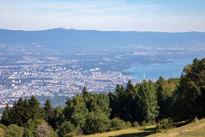 20220712-3369-Saleve Le pommier Vue Alpes