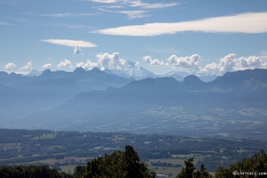 20220712-3375-Saleve Le pommier Vue Alpes