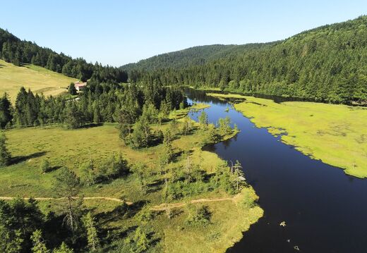 20220719-2610262-Lispach