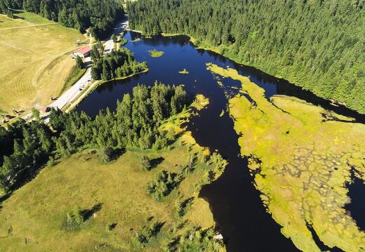 20220719-2630264-Lispach