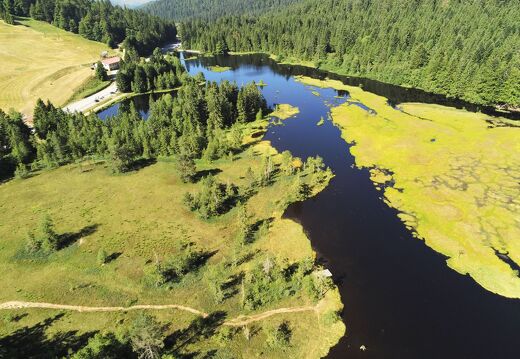 20220719-2620263-Lispach