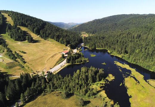 20220719-2660267-Lispach