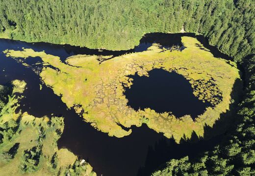 20220719-2670268-Lispach