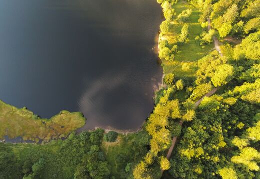 20220719-2760277-Blanchemer