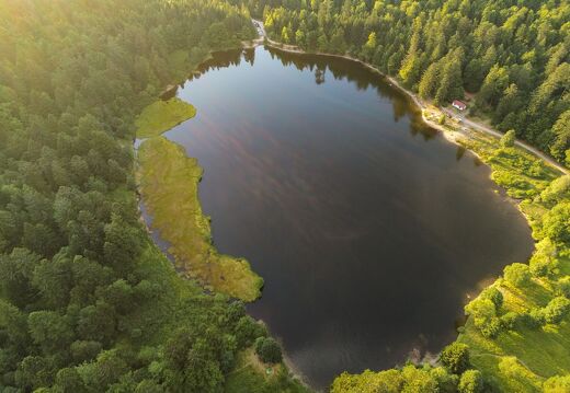 20220719-2780279-Blanchemer