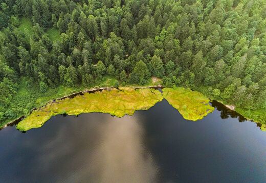 20220719-2810282-Blanchemer