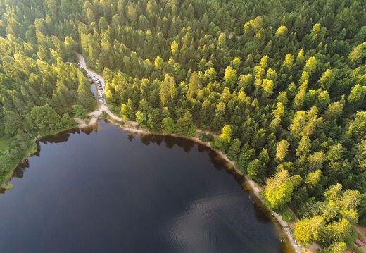 20220719-2790280-Blanchemer