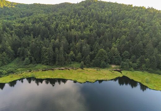 20220719-2830284-Blanchemer