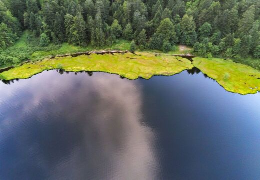 20220719-2820283-Blanchemer