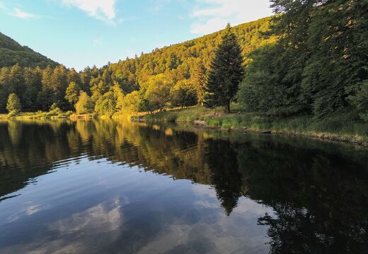 20220719-2870288-Blanchemer