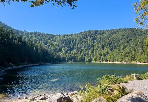 20220722-3460-Lac des corbeaux