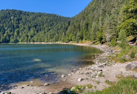 20220722-3462-Lac des corbeaux