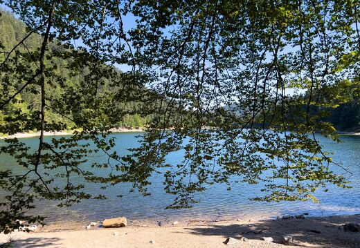 20220722-3471-Lac des corbeaux