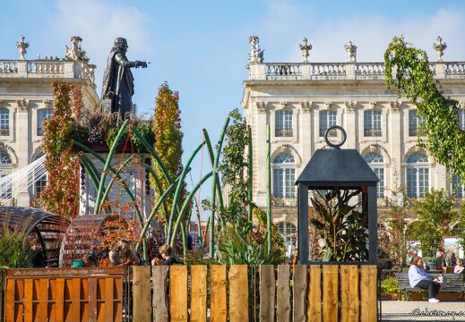 20221005-4428-Place Stanislas Nancy jardin ephemere