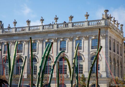 20221005-4453-Place Stanislas Nancy jardin ephemere