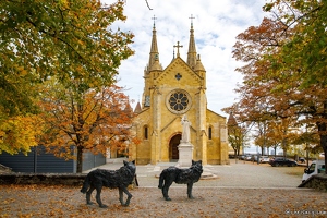 20221011-44 4604-Neuchatel Collégiale