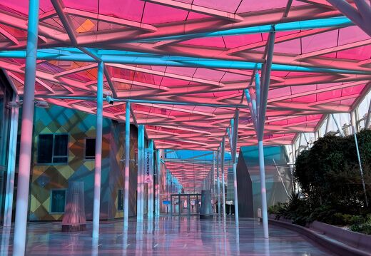 20230406-7641-Nancy ARTEM