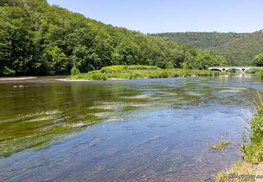 20230604-07 7057-Nohan sur Semoy