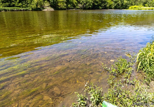 20230604-10 7055-Nohan sur Semoy