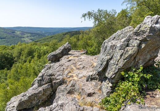 20230604-14 7067-Le Roc la Tour