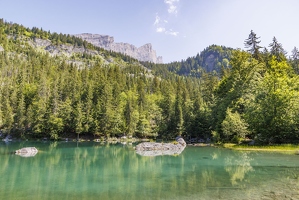 20230626-10 7476-Plaine Joux au Lac Vert