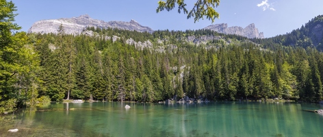 20230626-09 7474-Plaine Joux au Lac Vert Pano